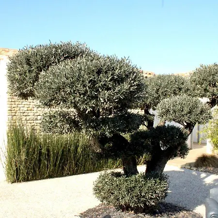 Fleur De Re Hotel 3*