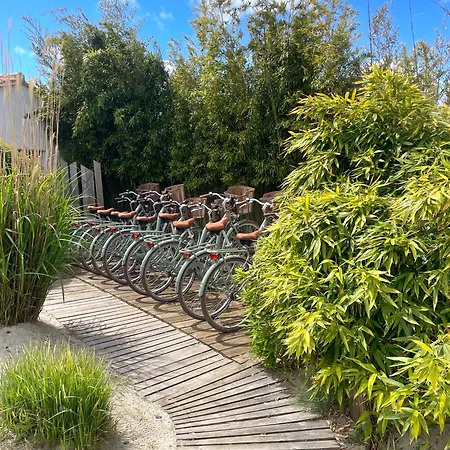 Fleur De Re Hotel Loix